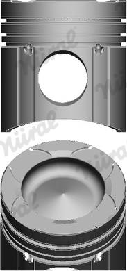 Wilmink Group WG1175311 - Piston aaoparts.ro