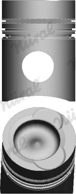 Wilmink Group WG1175761 - Piston aaoparts.ro