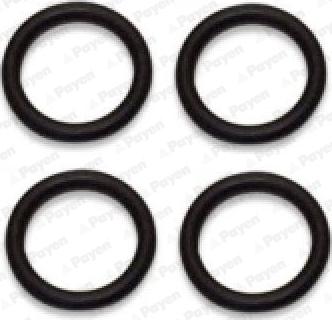 Wilmink Group WG1176922 - Set garnituri, galerie admisie aaoparts.ro