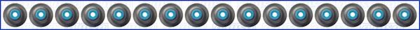 Wilmink Group WG1170060 - Set garnituri, ax supape aaoparts.ro