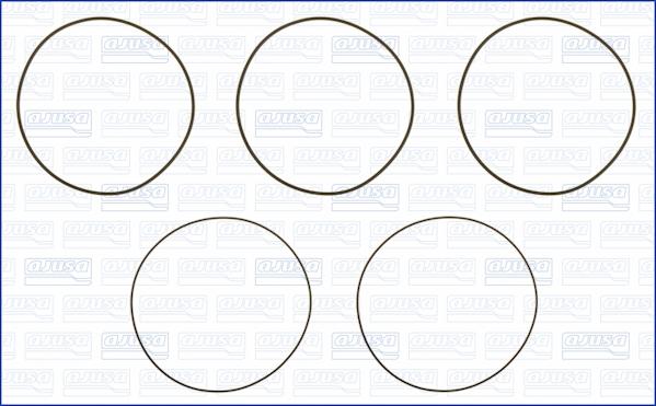 Wilmink Group WG1170216 - Set garnituri, bucsa cilindru aaoparts.ro