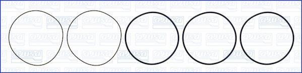 Wilmink Group WG1170217 - Set garnituri, bucsa cilindru aaoparts.ro