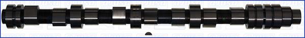 Wilmink Group WG1170723 - Ax cu came aaoparts.ro