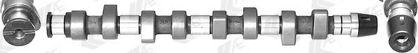 Wilmink Group WG1171906 - Ax cu came aaoparts.ro