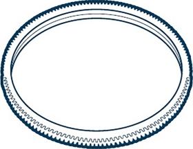 Wilmink Group WG1890394 - Coroana dintata, volanta aaoparts.ro