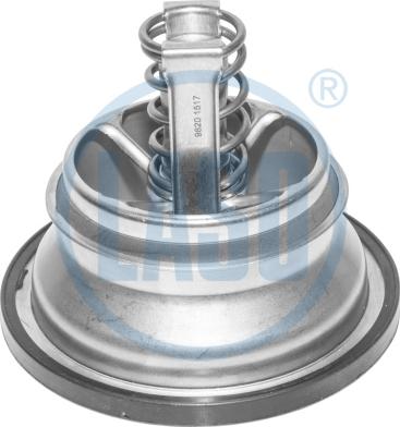 Wilmink Group WG1804612 - Termostat,lichid racire aaoparts.ro