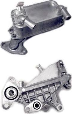 Wilmink Group WG1804747 - Radiator racire ulei, cutie de viteze automata aaoparts.ro