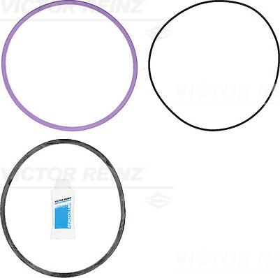 Wilmink Group WG1379485 - Set garnituri, bucsa cilindru aaoparts.ro