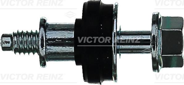 Wilmink Group WG1246038 - Surub, capac supape aaoparts.ro