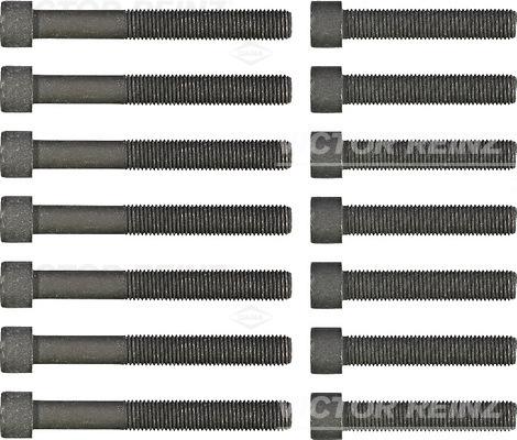 Wilmink Group WG1242875 - Set surub, chiulasa aaoparts.ro