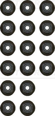 Wilmink Group WG1242785 - Set garnituri, ax supape aaoparts.ro