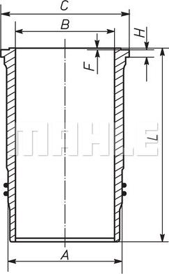 Wilmink Group WG1259531 - Camasa cilindru aaoparts.ro