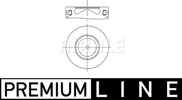 Wilmink Group WG1259282 - Piston aaoparts.ro