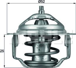 Wilmink Group WG1264899 - Termostat,lichid racire aaoparts.ro