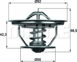 Wilmink Group WG1262752 - Termostat,lichid racire aaoparts.ro