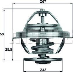 Wilmink Group WG1262707 - Termostat,lichid racire aaoparts.ro