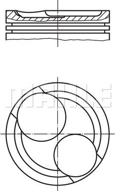 Wilmink Group WG1201518 - Piston aaoparts.ro