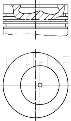 Wilmink Group WG1201320 - Piston aaoparts.ro