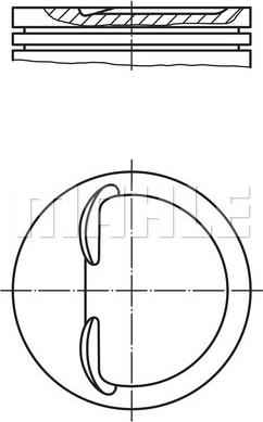 Wilmink Group WG1201260 - Piston aaoparts.ro