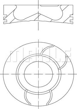 Wilmink Group WG1214142 - Piston aaoparts.ro