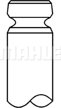 Wilmink Group WG1213872 - Supapa admisie aaoparts.ro