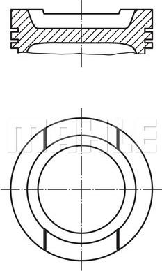 Wilmink Group WG1212363 - Piston aaoparts.ro