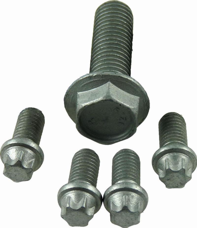 Wilmink Group WG1234551 - Set surub, disc curea-arbore cotit aaoparts.ro