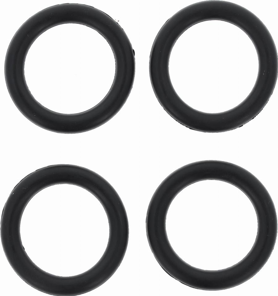 Wilmink Group WG1221498 - Garnitura, galerie admisie aaoparts.ro