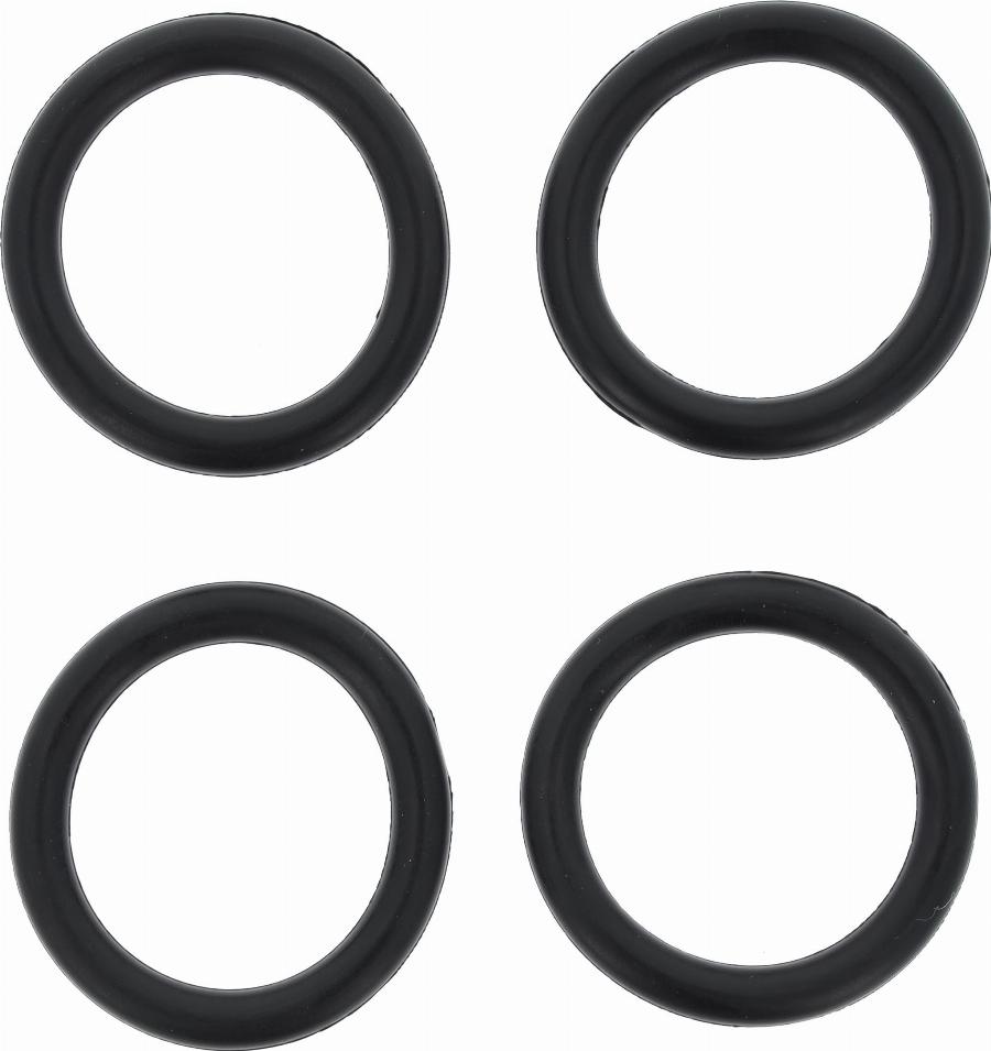 Wilmink Group WG1221497 - Garnitura, galerie admisie aaoparts.ro