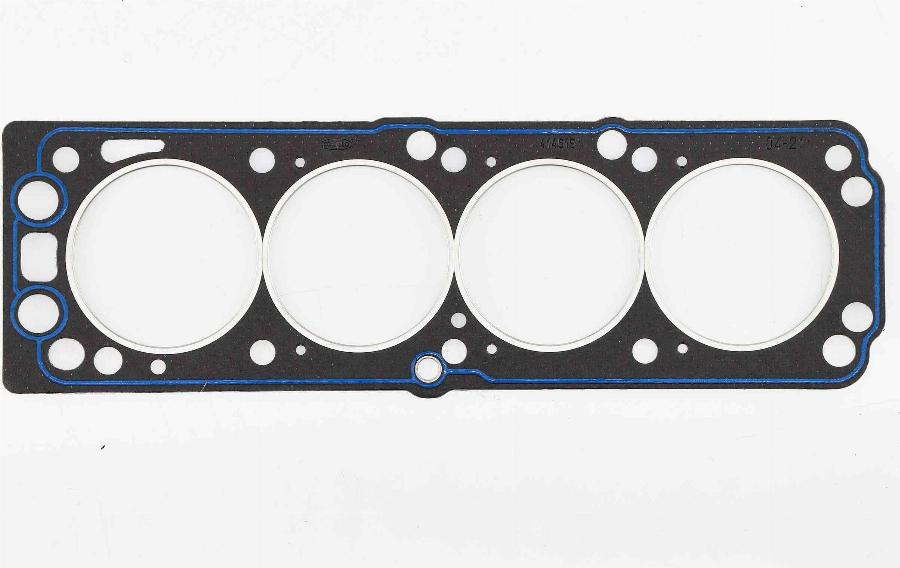 Wilmink Group WG1227789 - Garnitura, chiulasa aaoparts.ro