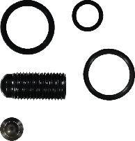 Wilmink Group WG1741794 - Chit reparatie,unitate pompa-diuza aaoparts.ro