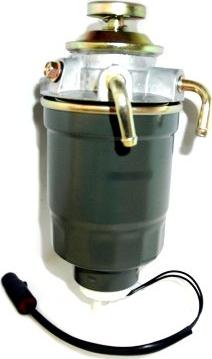 Wilmink Group WG1747862 - Filtru combustibil aaoparts.ro