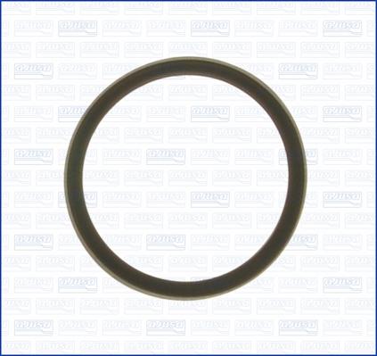 Wilmink Group WG1751239 - Garnitura termostat aaoparts.ro