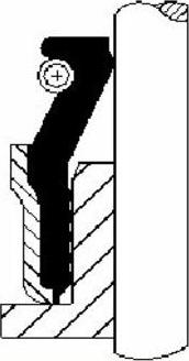 Wilmink Group WG1700834 - Etansare, supape aaoparts.ro