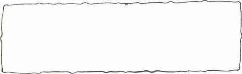 Wilmink Group WG1708616 - Garnitura, capac supape aaoparts.ro