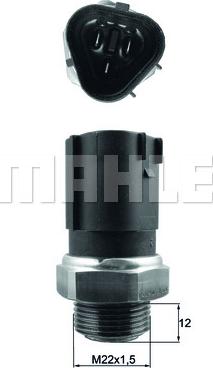 Wilmink Group WG1789683 - Comutator temperatura, ventilator radiator aaoparts.ro