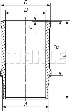 Wilmink Group WG1789754 - Camasa cilindru aaoparts.ro
