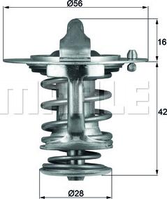 Wilmink Group WG1789703 - Termostat,lichid racire aaoparts.ro