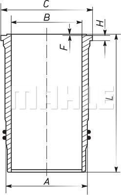 Wilmink Group WG1789710 - Camasa cilindru aaoparts.ro