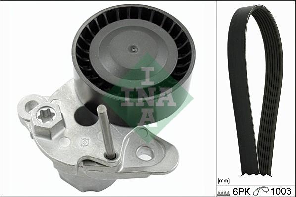 Wilmink Group WG1780444 - Set curea transmisie cu caneluri aaoparts.ro