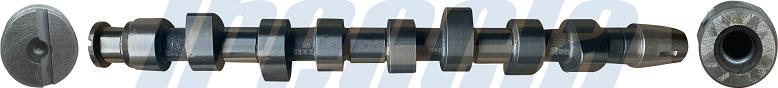 Wilmink Group WG1779053 - Ax cu came aaoparts.ro