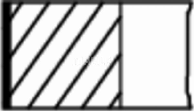 Wilmink Group WG2470610 - Set segmenti piston aaoparts.ro
