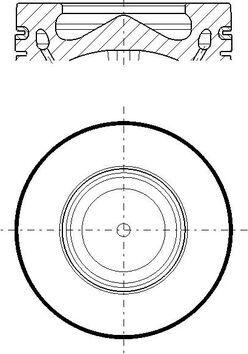 Wilmink Group WG2578598 - Piston aaoparts.ro