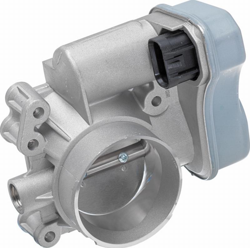 Wilmink Group WG2602499 - Carcasa clapeta aaoparts.ro