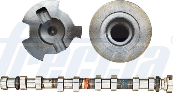 Wilmink Group WG2046934 - Ax cu came aaoparts.ro