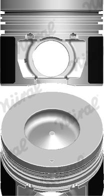 Wilmink Group WG2046428 - Piston aaoparts.ro