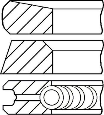 Wilmink Group WG2046387 - Set segmenti piston aaoparts.ro