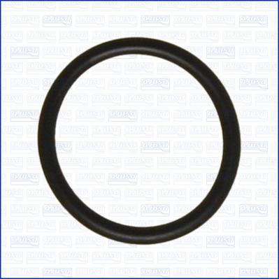 Wilmink Group WG2080956 - Inel de etansare aaoparts.ro