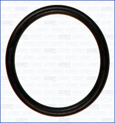 Wilmink Group WG2080594 - Inel de etansare aaoparts.ro