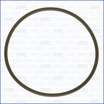 Wilmink Group WG2080871 - Inel de etansare aaoparts.ro